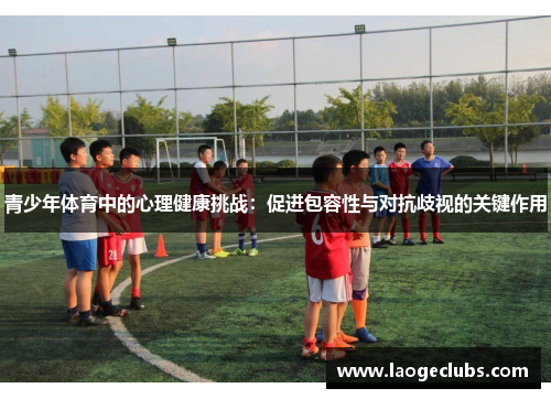 青少年体育中的心理健康挑战：促进包容性与对抗歧视的关键作用