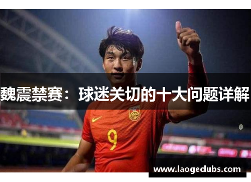 魏震禁赛：球迷关切的十大问题详解
