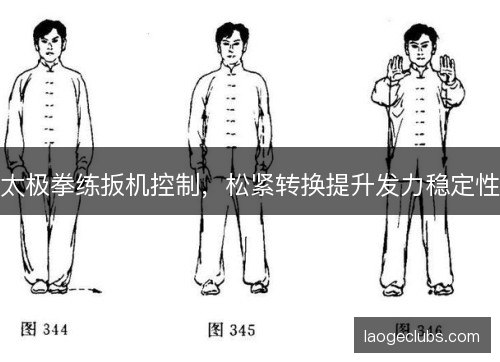 太极拳练扳机控制，松紧转换提升发力稳定性